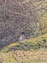 팜모닝 기타작물·영농일지 게시글 이미지