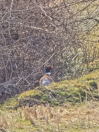 김대기님의 기타작물 · 영농일지 작성글 사진