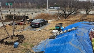 장정규님의 기타작물 · 영농일지 작성글 사진