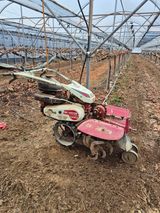 팜모닝 포도·영농일지 게시글 이미지