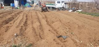 김익중님의 고추 · 영농일지 작성글 사진