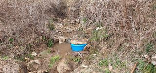 반성식님의 기타작물 · 영농일지 작성글 사진