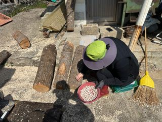 단감대봉시금치당님의 기타작물 · 영농일지 작성글 사진