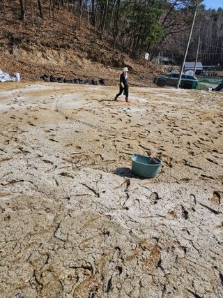 감7768님의 고추 · 영농일지 작성글 사진