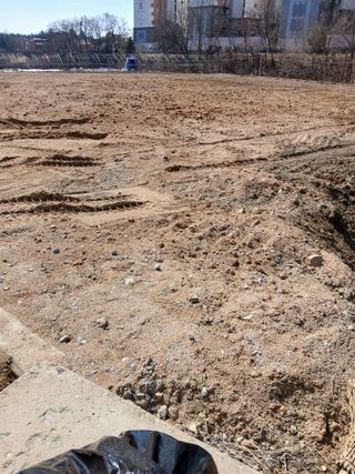 강지현님의 들깨 · 영농일지 작성글 사진