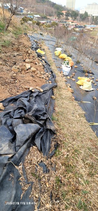 박종화님의 기타작물 · 영농일지 작성글 사진