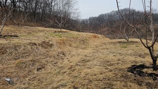 장정규님의 기타작물 · 영농일지 작성글 사진