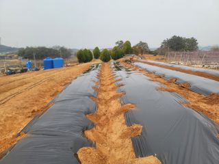 이용찬 열매마농원님의 기타작물 · 영농일지 작성글 사진