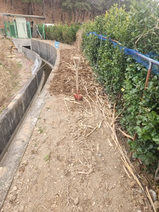 허정양님의 기타작물 · 영농일지 작성글 사진