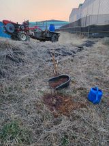 팜모닝 감·영농일지 게시글 이미지