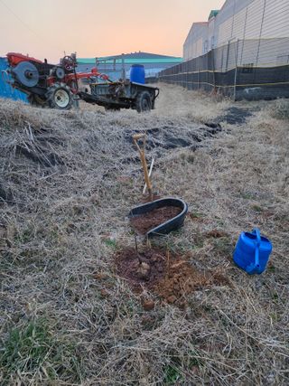 전주이상권님의 감 · 영농일지 작성글 사진