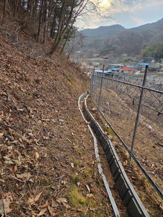 윤장원님의 기타작물 · 영농일지 작성글 사진