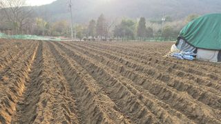 이경옥님의 기타작물 · 영농일지 작성글 사진