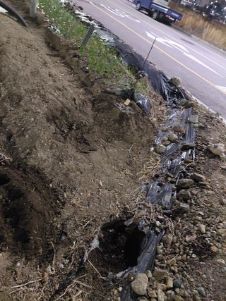 머짱이(덕도리)님의 사과 · 영농일지 작성글 사진