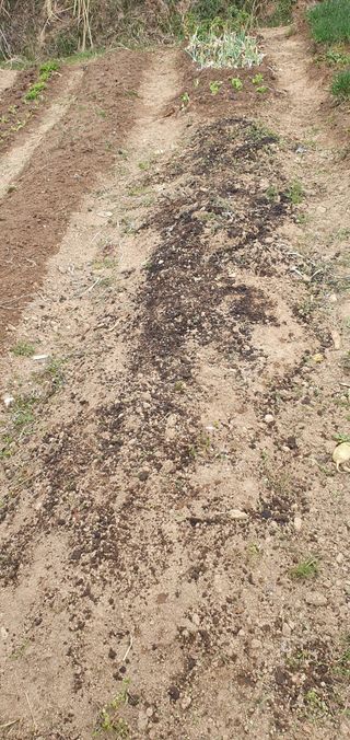 김영진님의 감 · 영농일지 작성글 사진