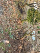 팜모닝 매실·영농일지 게시글 이미지