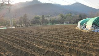 이경옥님의 기타작물 · 영농일지 작성글 사진