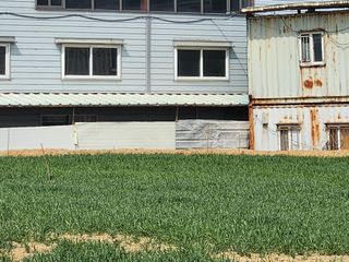 노복우님의 고추 · 영농일지 작성글 사진