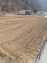 팜모닝 감자·영농일지 게시글 이미지