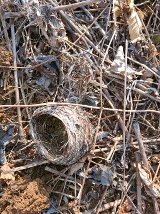 엄순모사선대농장님의 감 · 영농일지 작성글 사진