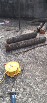 팜모닝 버섯·영농일지 게시글 이미지