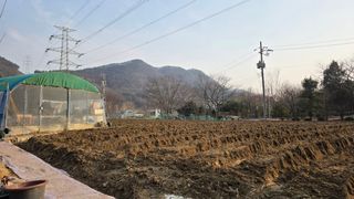 이경옥님의 기타작물 · 영농일지 작성글 사진