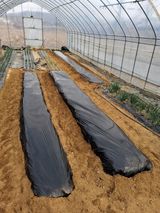 팜모닝 기타작물·영농일지 게시글 이미지