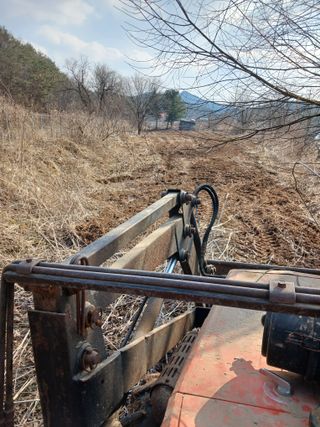 자기왕사랑해님의 두릅 · 영농일지 작성글 사진