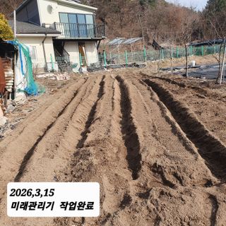 시민농장님의 기타작물 · 영농일지 작성글 사진