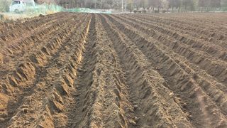 이경옥님의 기타작물 · 영농일지 작성글 사진