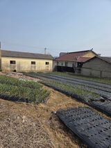 백현호님의 작성글 사진