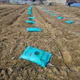 팜모닝 감자·영농일지 게시글 이미지