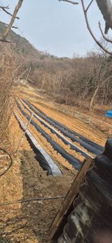 팜모닝 감자·영농일지 게시글 이미지