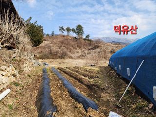 김정기 님의 기타작물 · 영농일지 작성글 사진