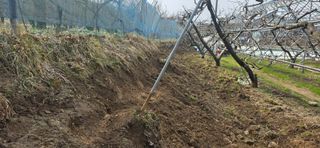 달맛햇복숭아농원님의 복숭아 · 영농일지 작성글 사진