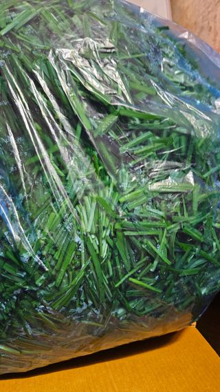 대봉농원 이경화님의 기타작물 · 영농일지 작성글 사진