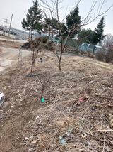 팜모닝 기타작물·영농일지 게시글 이미지