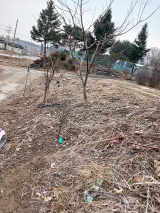 도토리아줌마님의 기타작물 · 영농일지 작성글 사진