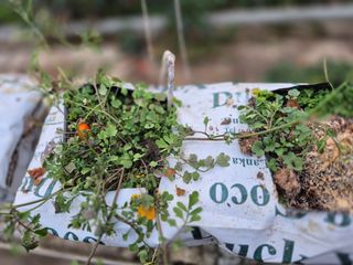 늘햇살팜 님의 기타작물 · 영농일지 작성글 사진