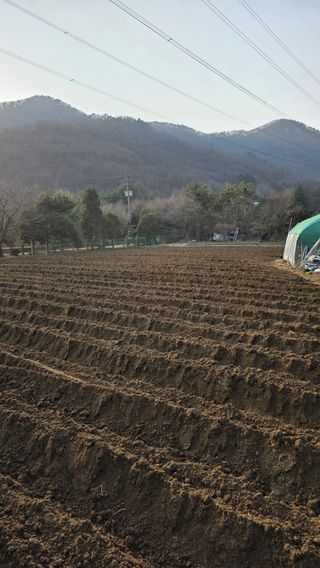 이경옥님의 기타작물 · 영농일지 작성글 사진