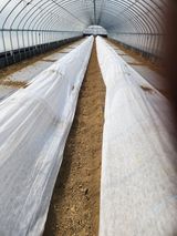 김저팔계님의 작성글 사진