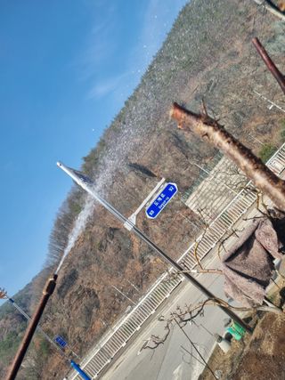 김용대님의 기타작물 · 영농일지 작성글 사진