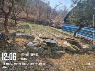 매실21434님의 감자 · 영농일지 작성글 사진