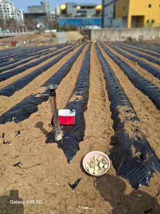 행복한누룩님의 기타작물 · 영농일지 작성글 사진