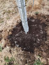 팜모닝 포도·영농일지 게시글 이미지