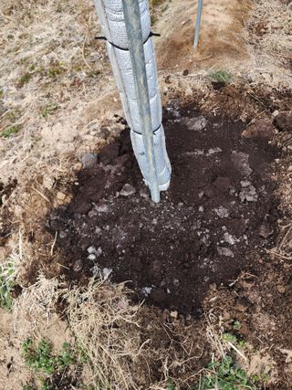 강동신님의 포도 · 영농일지 작성글 사진