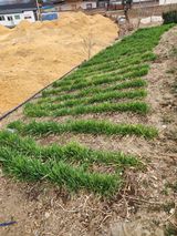 팜모닝 마늘·영농일지 게시글 이미지