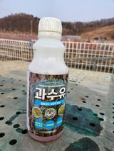 유제상님의 작성글 사진