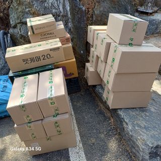 삼성농산님의 파 · 영농일지 작성글 사진