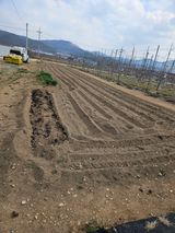 팜모닝 기타작물·영농일지 게시글 이미지